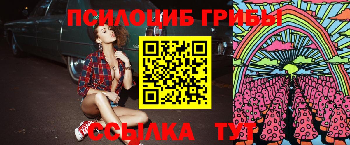 Галлюциногенные грибы Psilocybe  Вход с VPN  Анжеро-Судженск  Галлюциногенные грибы Cubensis 